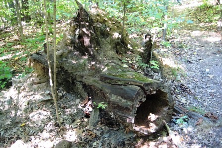 Greenbelt