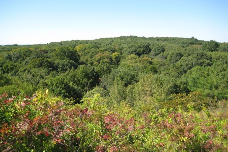 Greenbelt