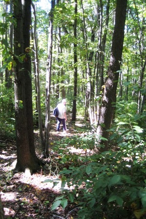 Greenbelt