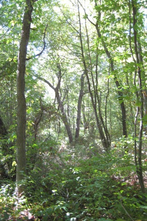 Greenbelt