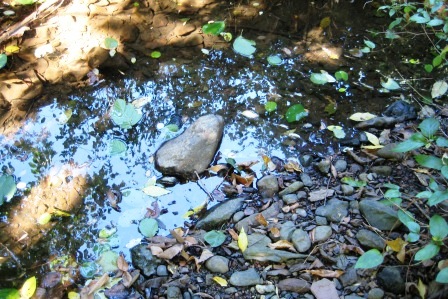 Greenbelt