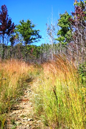 Greenbelt