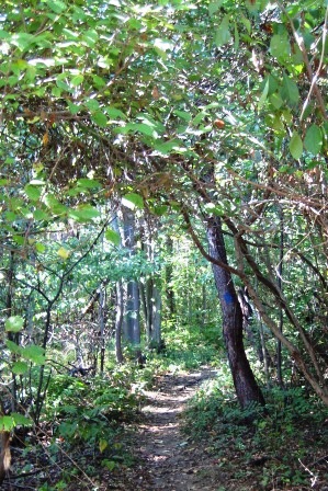 Greenbelt