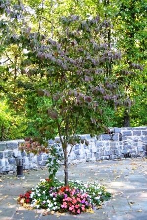 Greenbelt