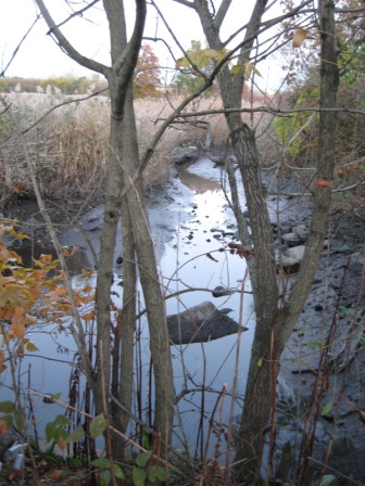 Richmond Creek