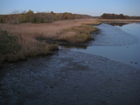 Richmond Creek